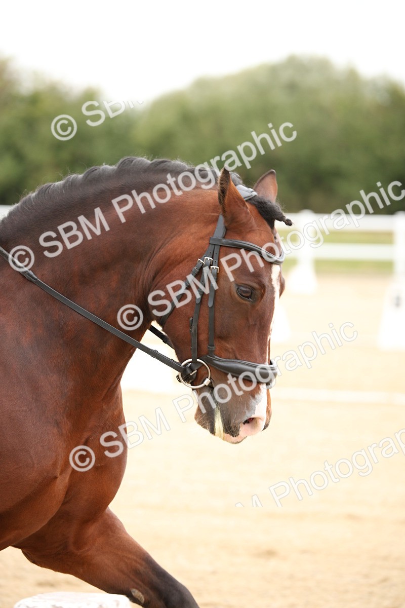 SBM_019110 - Class 22 - Medium 73 - 9.24-10.12