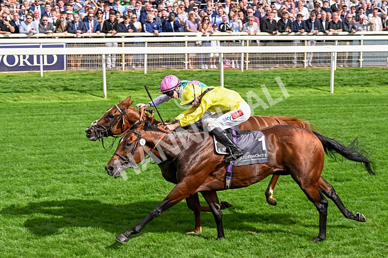 190826-Race 4-Item-0494 - Race 4 15.35pm Juddmonte International Stakes