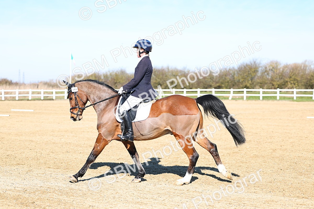 026A8399 - Class 5 - Novice 5