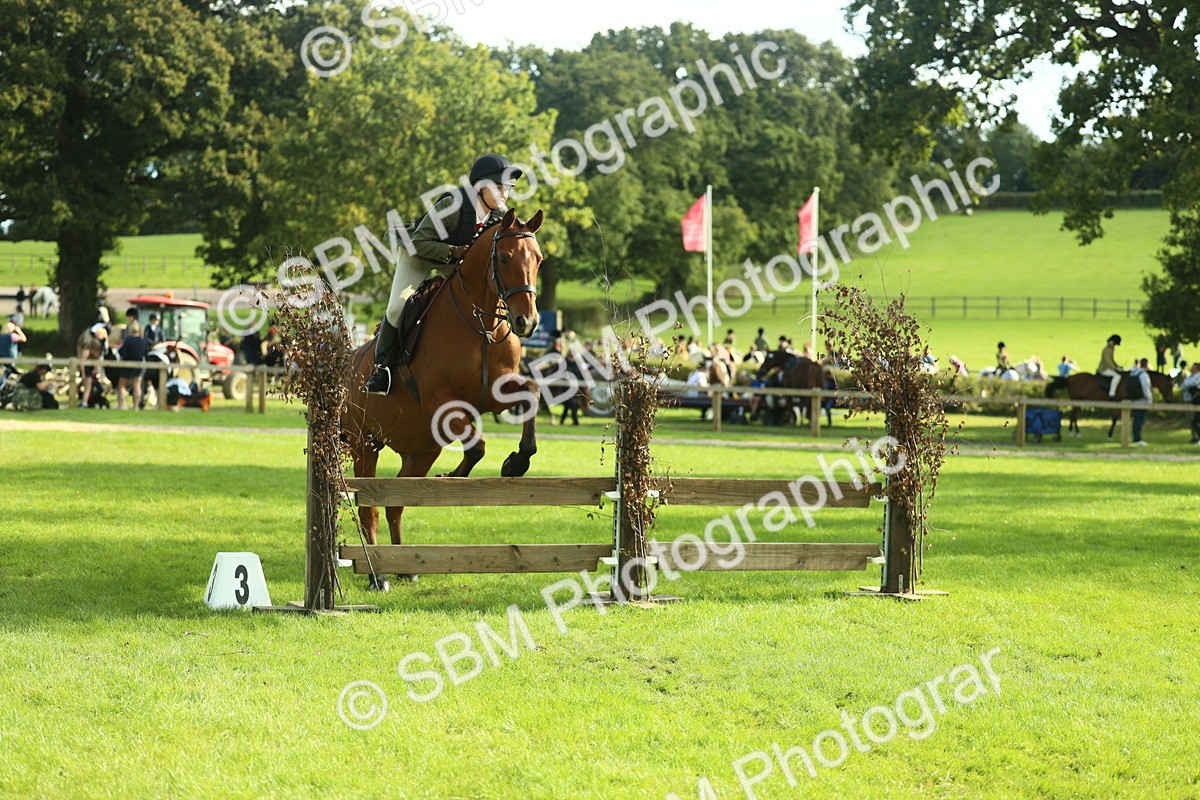 SBM_50559 - S33 - Working Hunter & Working Show Horse