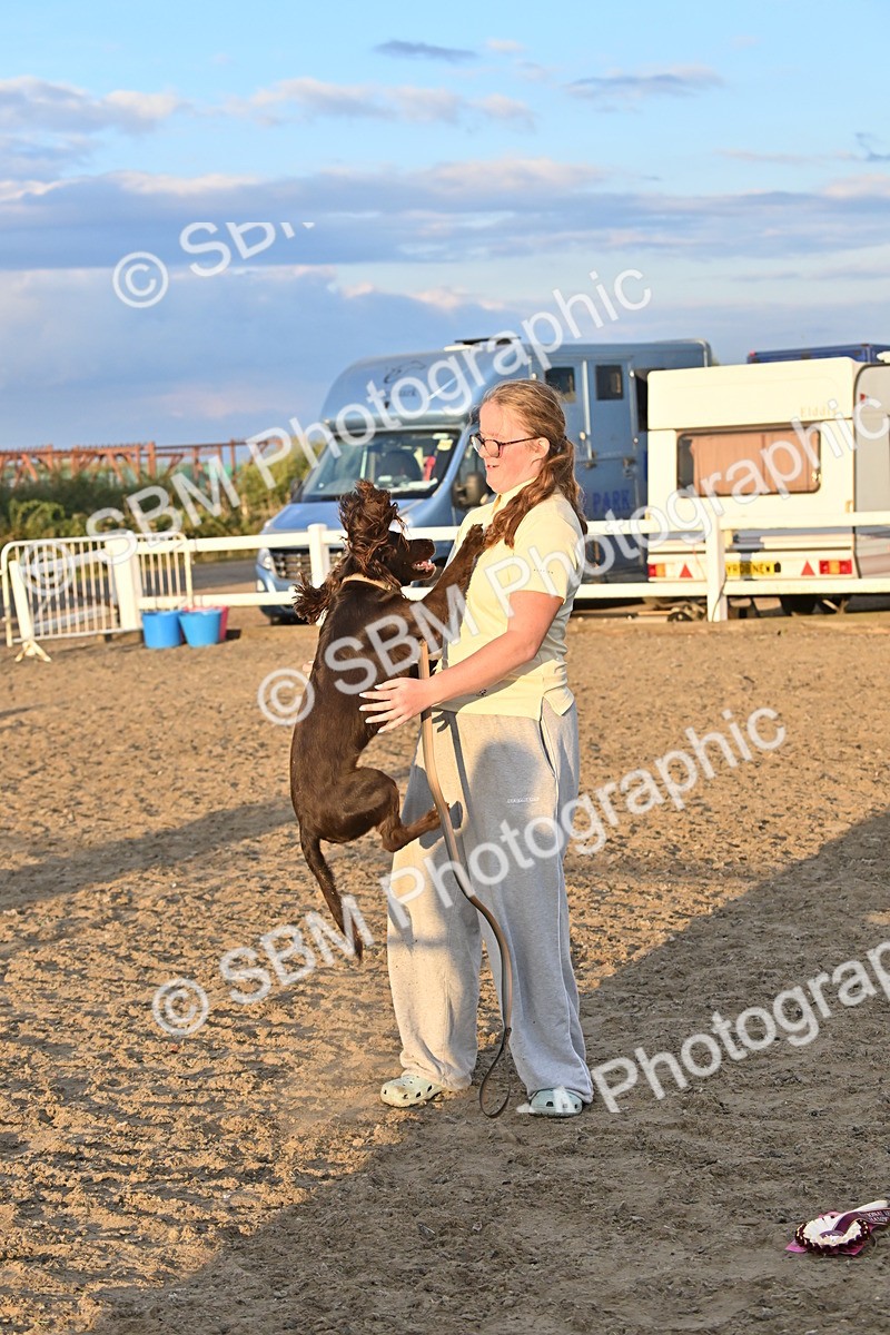 SBM_09711 - Lorry Dogs
