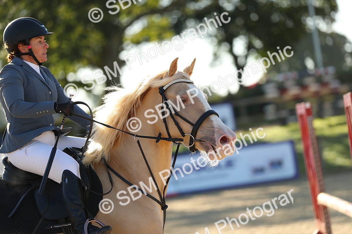 SBM_14848 - J32 - Senior 70cm Championship