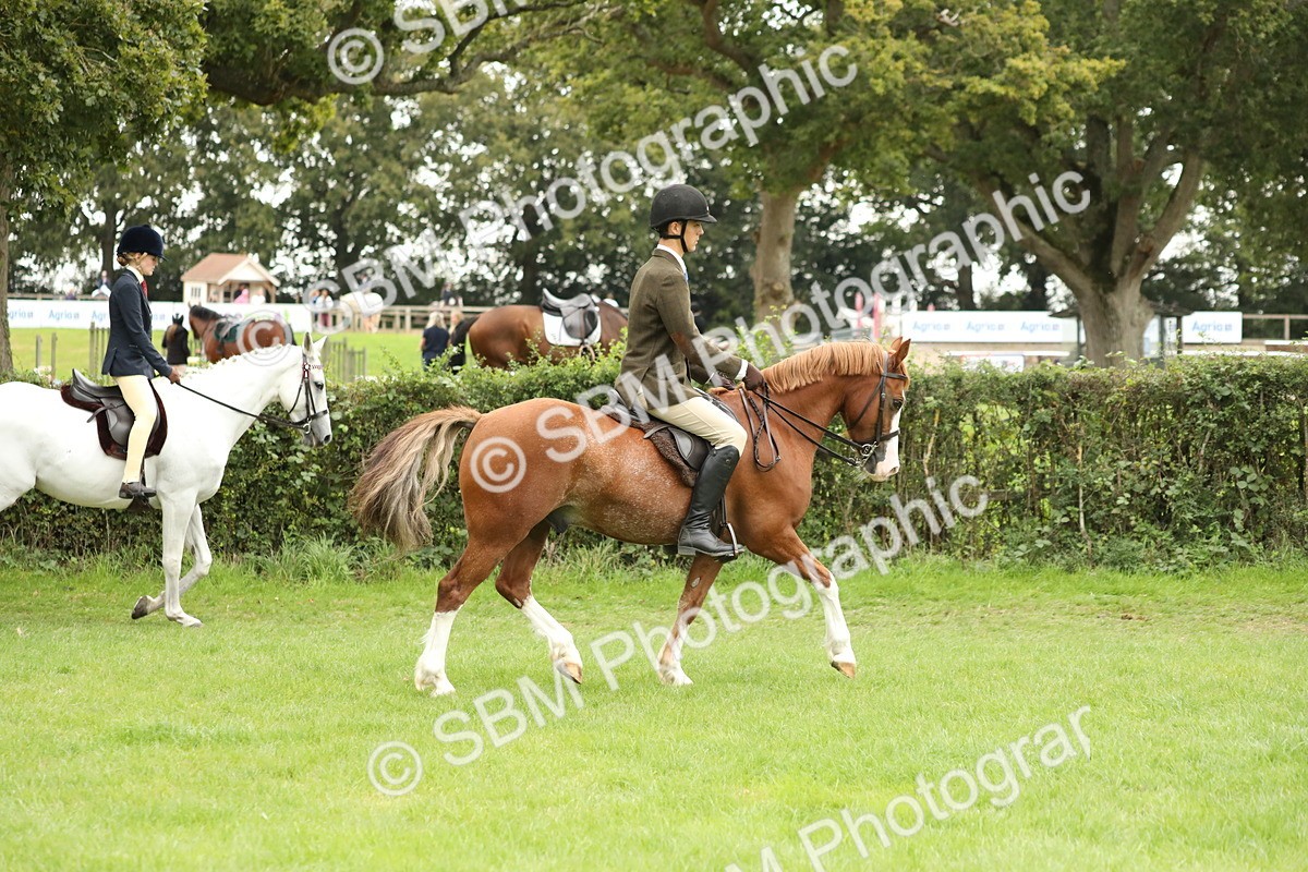 SBM_73688 - S41 - Ridden Equitation (Best Rider)