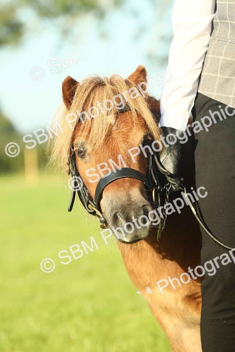 SBM_58443 - S37 - Starters In Hand Showing