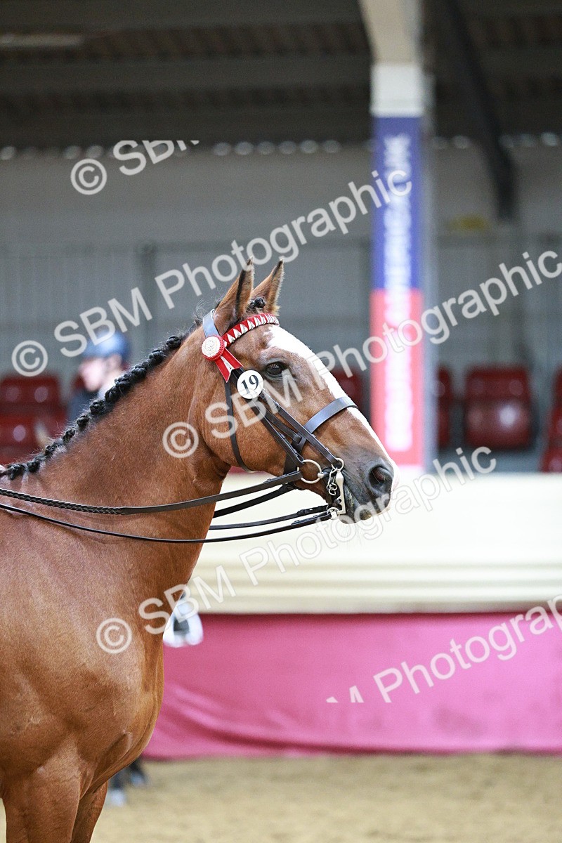 SBM_03520 - Class 6A Area Ridden Pre-Vet