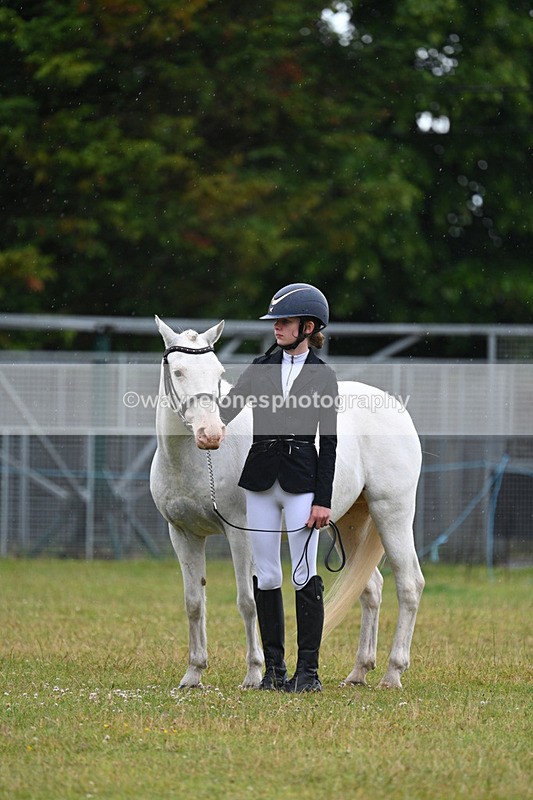 WJ7_5788 - Class 4 Prettiest Mare in Hand