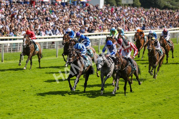 150723-Race 3-Pride of America-8807 - Race 3 3.10pm John Smith's Cup Handicap