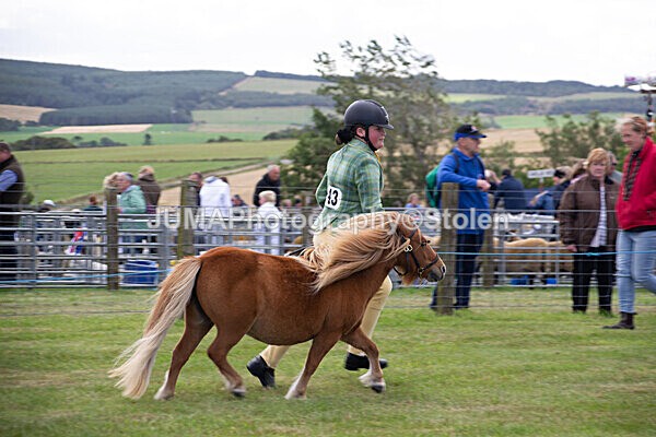 DSC_0314 - Ring 1