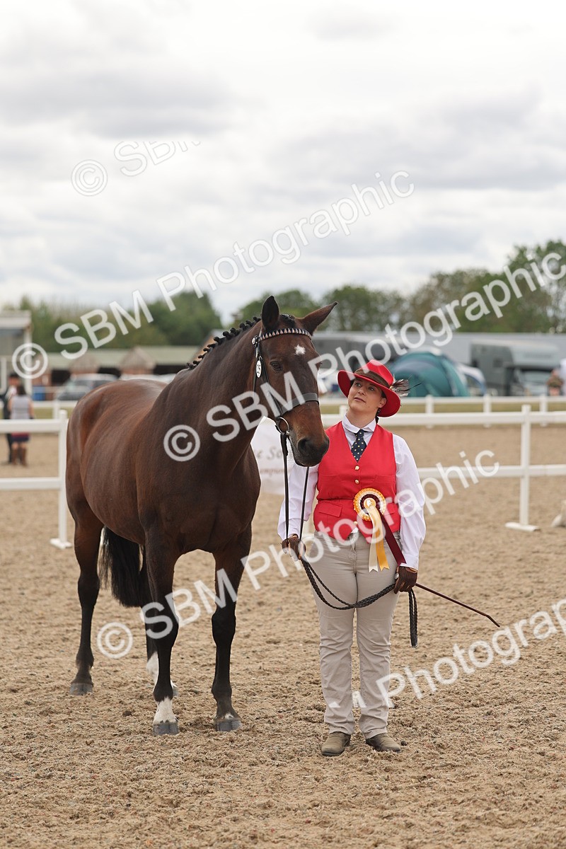 SBM_17027 - Class 312 - IH Competition Horse-Pony
