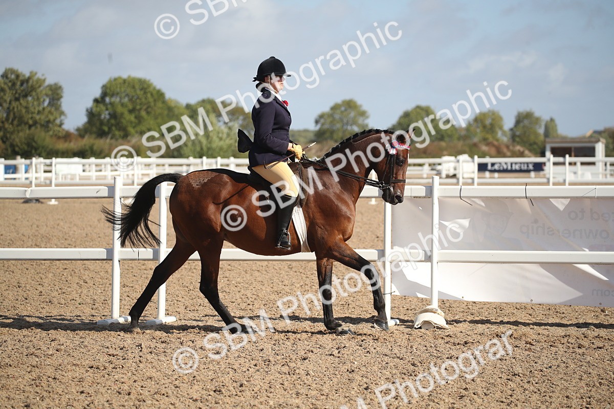 SBM_22781 - Class 602 - 2026 Area - Ridden Veteran