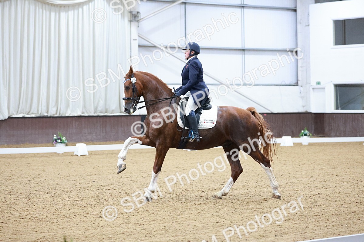 SBM_021264 - Class 14 - FEI Grand Prix - 17.40-18.34