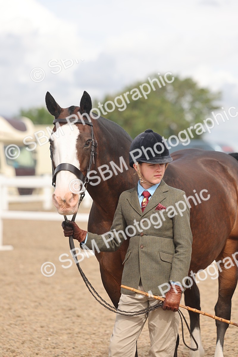 SBM_04419 - Class 18 - Handsomest Gelding (IH or Ridden)