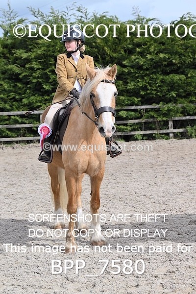BPP_7580 - RING 1  (RIDDEN HORSES / IN HAND / VETERAN ETC)