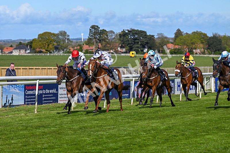 250424-Race 4-Classy Boy-1300 - Race 4