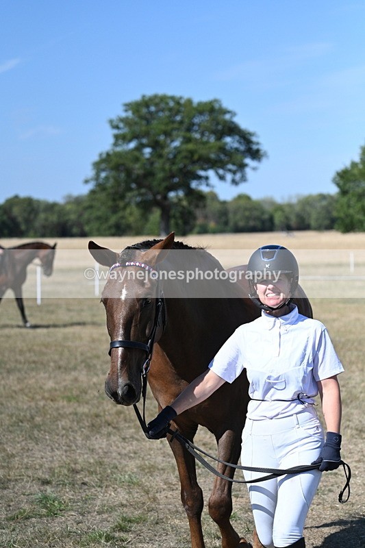 WJ7_1500 - Class 42 Most Handsome Gelding