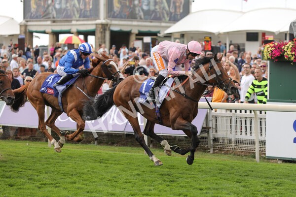 yr19082022r1-23 - Race 1 1.50pm Sky Bet Stakes