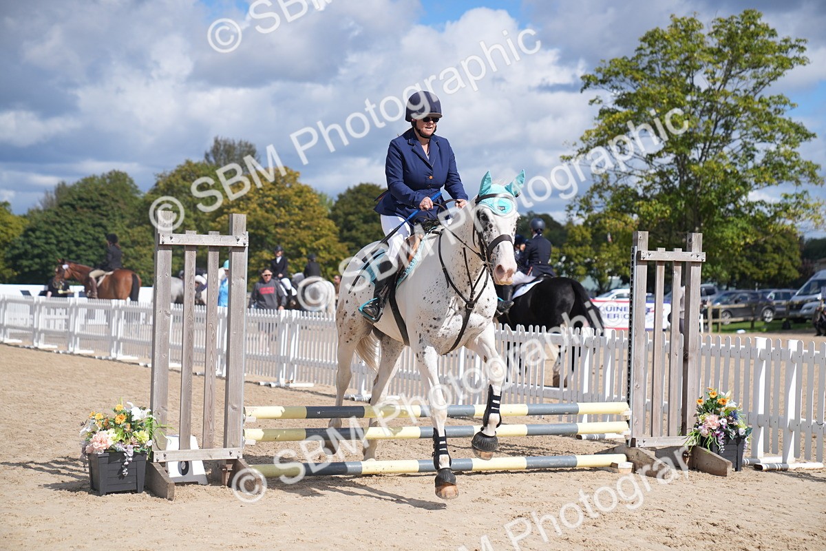 SBM_04121 - J34 Veteran 50cm Championship