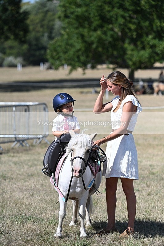 WJ7_1351 - Class 41 Prettiest Mare