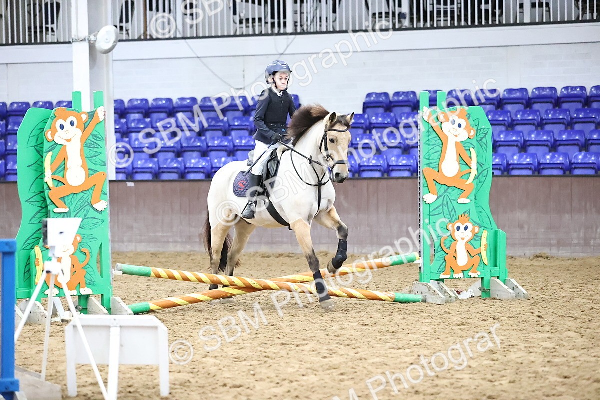 SBM_000116 - Class 2 - The Rug Lady 40cm Area 12 Championship Qualifier