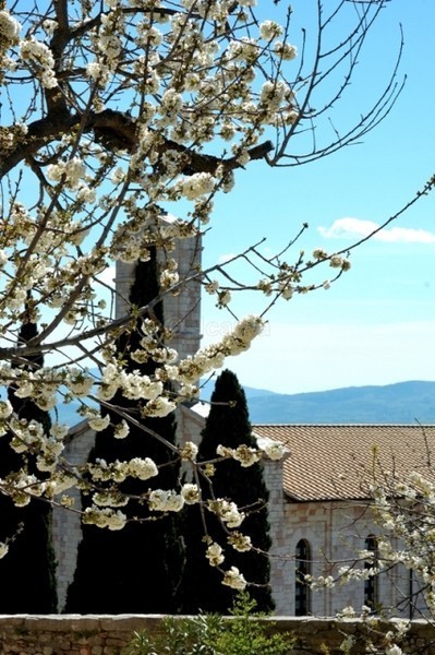 - Assisi & Siena