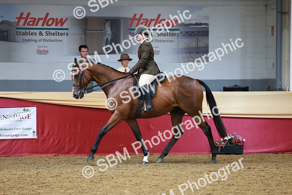 SBM_14915 - Class 108 - Ridden Retired Racehorse