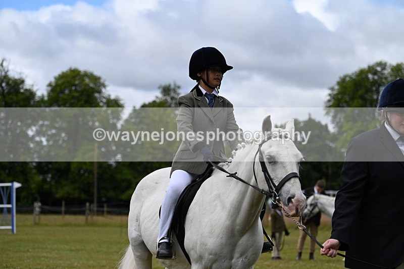 WJ7_4717 - Class 1 Lead Rein Pony