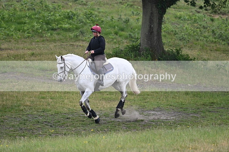 WJ7_9514 - Time 11:57 to 12:14