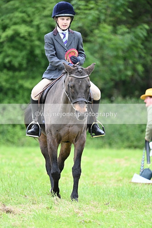 WJ7_4566 - Class 14B Prettiest Mare