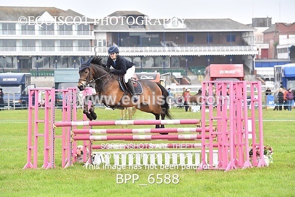 BPP_6588 - CLASS 1 Senior Newcomers/ 1.10m Open