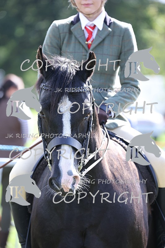 APP_3702 - Class 12 M&M ridden