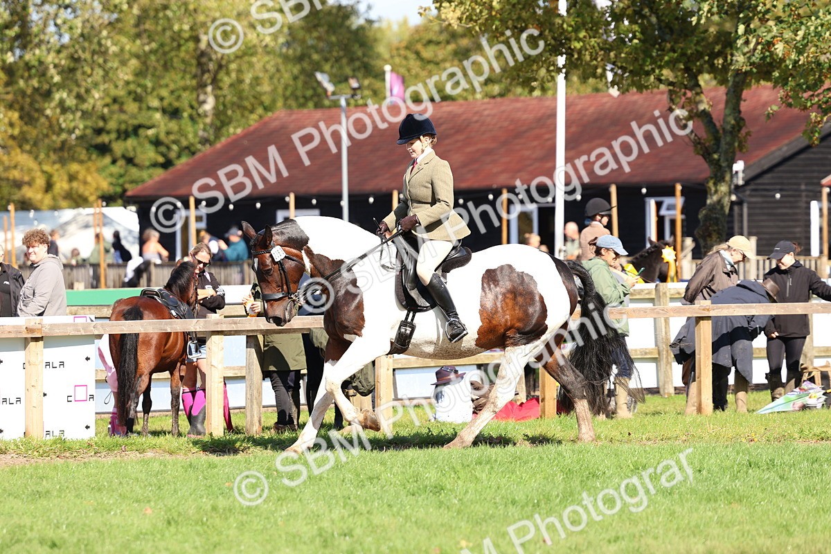 SBM_45263 - S27 - Young Veteran Ridden