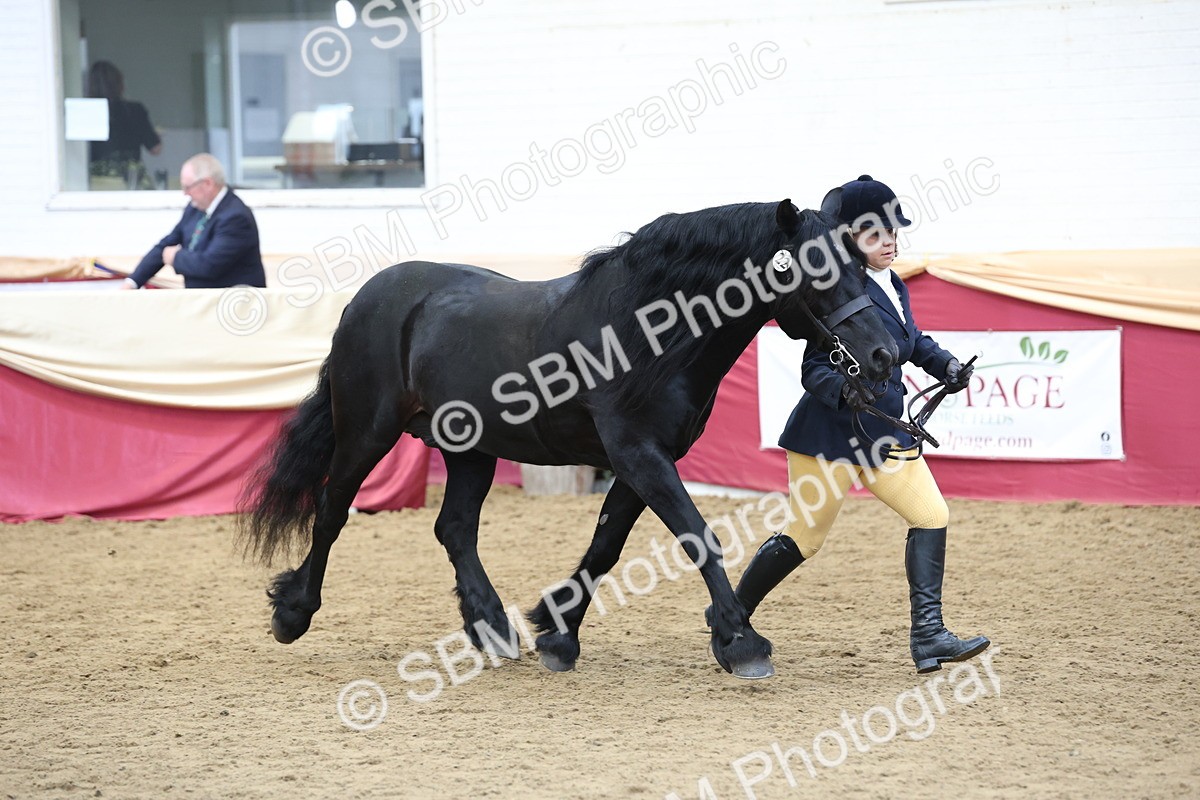 SBM_24078 - Class 905 - Supreme Final - Ridden Veteran