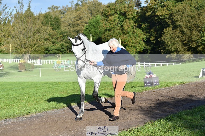 231022-100316-22210 - 624-CORRIEVIEW.OSCAR-Jane.Rogers-TrotUp+SJ