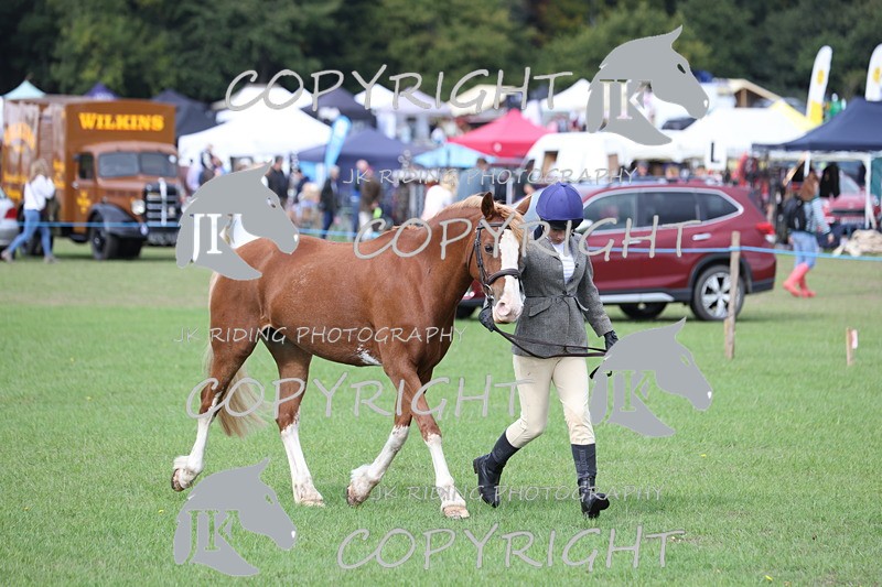 APP_2642 - Class 9 Veterans in hand