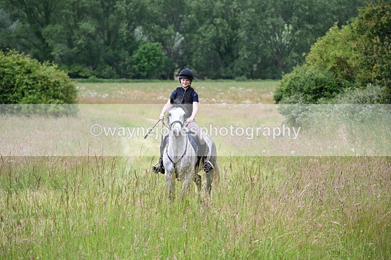 WJ6_7987 - Camera 1 Gallops