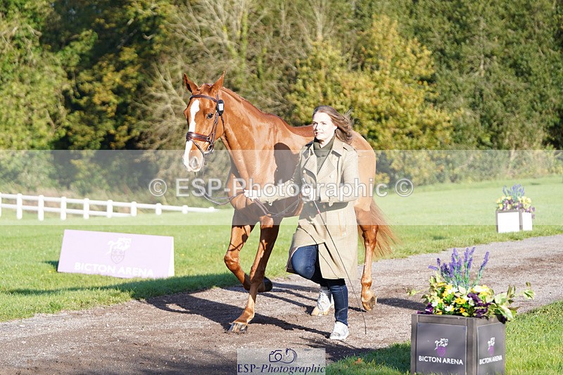 241026-101834-11761 - 010-Julia.Norman-SCOTCH.ON.THE.ROCK'Z