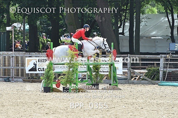 BPP_0355 - RHS 2019 Selection - *Just some random spectator shots so Lucky Dip if you are there!