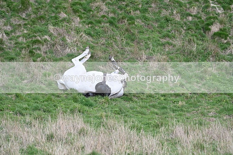 WJ7_7916 - Jo Ramage