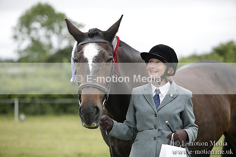 BVR160717-744 - Ring 2 BVRC Show 16/07/17