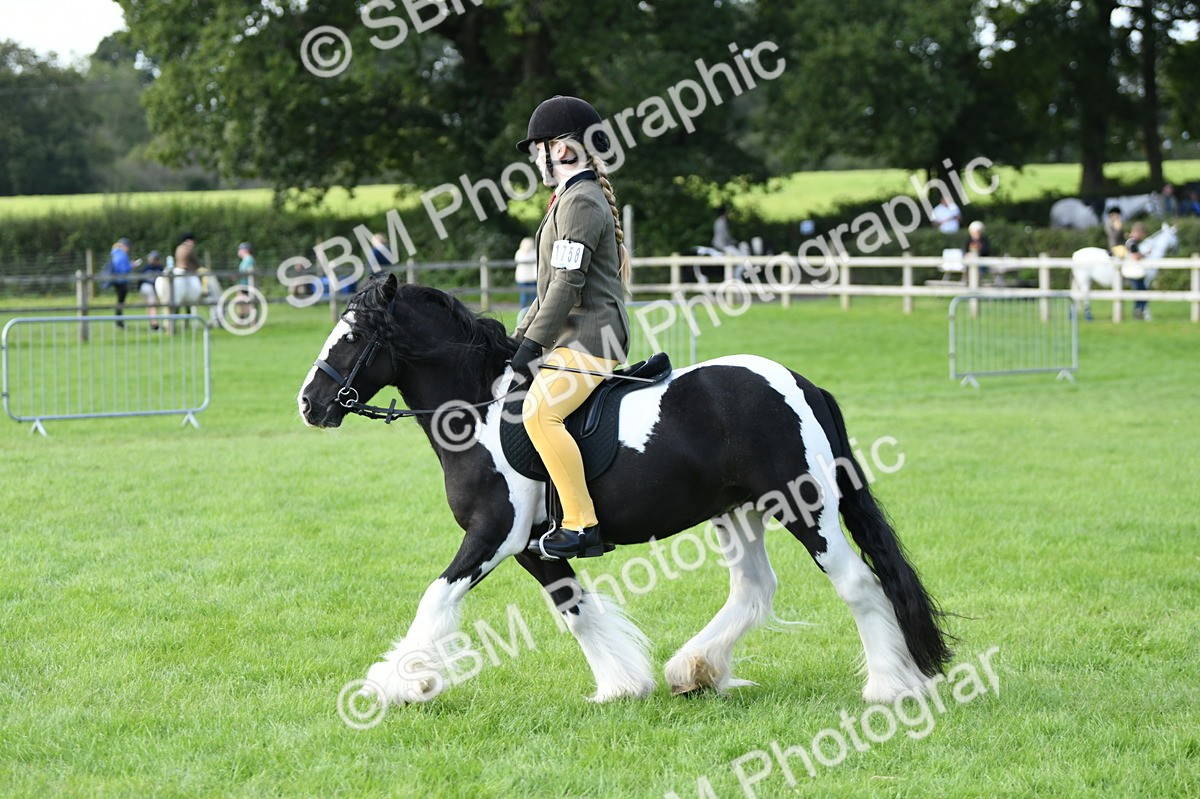 SBM_51869 - S21 - Novice & Newcomers 1st Ridden Pony