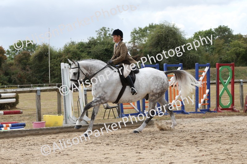 20260831-2736 - Class 16 and 17- Ridden Cob and Hunters
