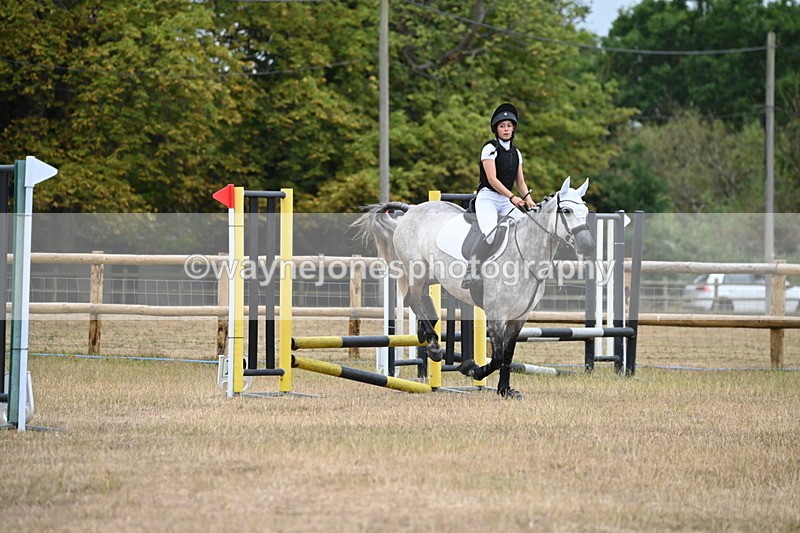 WJ6_0303 - Class 13 Novice Jumping 60cm