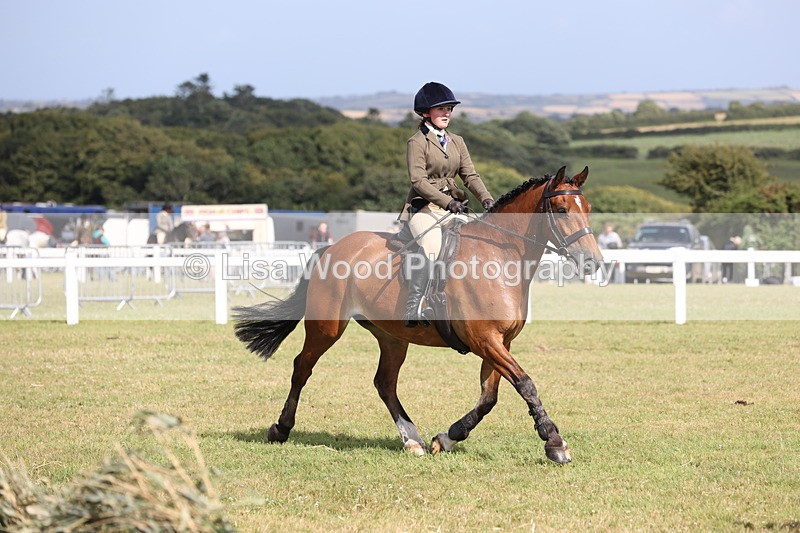 JPP_2628 - Class 20: Working Hunter 70cm