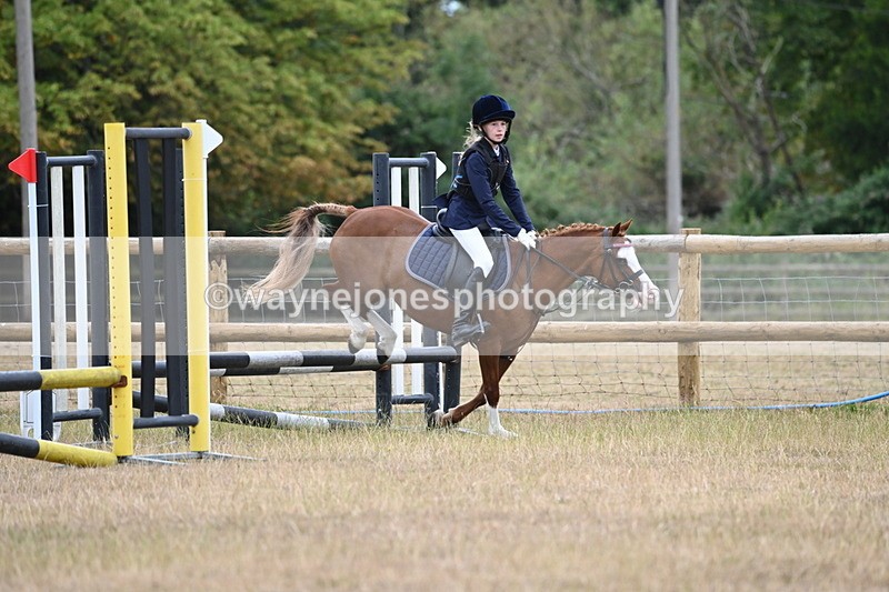 WJ6_0322 - Class 13 Novice Jumping 60cm
