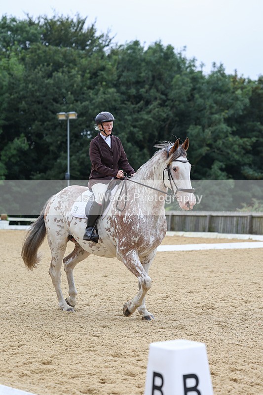 3E7A4901 - Class 1: Intro 4 2024 section A