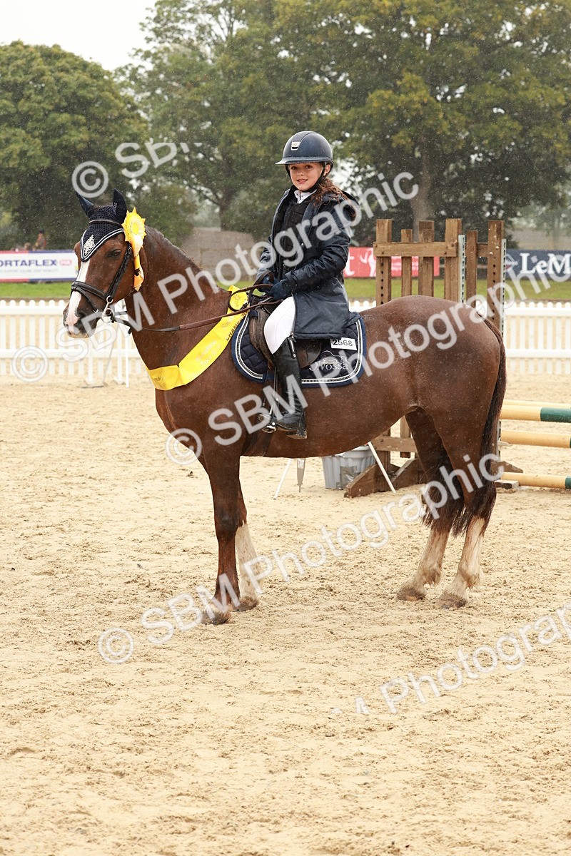 SBM_72223 - J14 - Junior Pony 65cm Championship