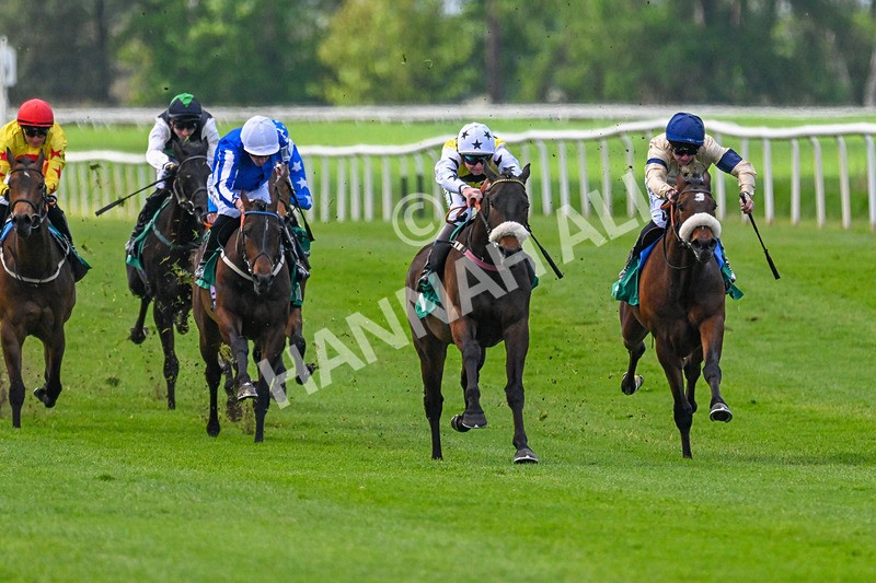 020526-Race 1-Arapaho Gold-9109 - Race 1 1.35pm Steve Poskitt's 60th Birthday Restricted Maiden Stakes