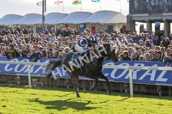 141023-Race 5-Certain Lad-0540 - Race 5 3.35pm Coral Racing Bet Bundles Handicap