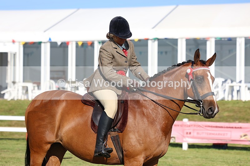 3E7A5187 - Class 1: Rising Star Small Hack/Riding Horses