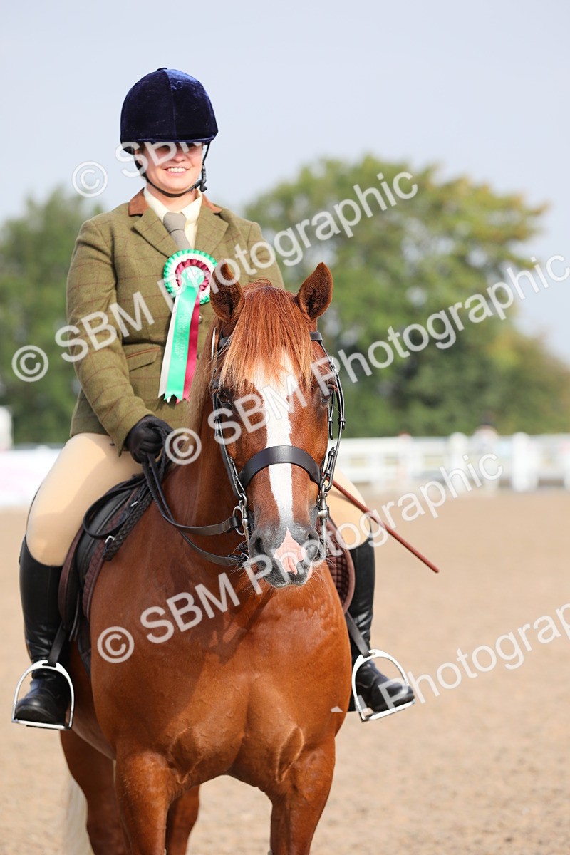 SBM_10168 - Class 302 Ridden M&M -Large Breeds